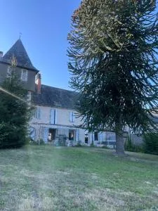 Magnifique maison de campagne avec jacuzzi - Espagnac