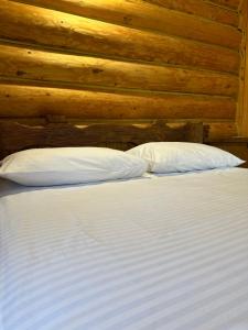 Villa room in SHIPOVEC