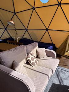 Glamping Pod - Sleeps 4 - Pets - Parking