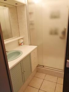 appartement port camargue 6 personnes le cabestan