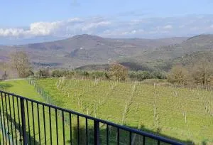 Appartamento in Chianti. - 奇维泰拉伊恩瓦尔迪基亚纳