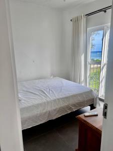 Rayon vert apartment 7