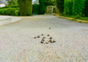 Moun Pantaï, calme & climatisée, 10per