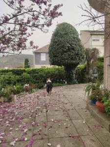 Real Santo António Guest House