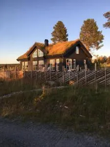 New and cozy family cabin on Golsfjellet - Aurdal