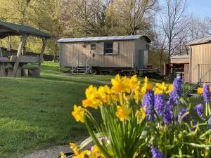 Wagenburg-Solling - Silberborn