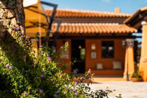 Casagliana Suite Resort img44