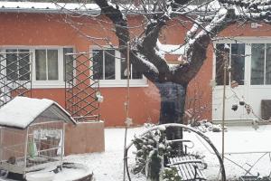 Appartements L-Atelier : photos des chambres
