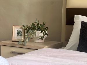 New modern Tirana apartment