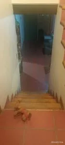 Casa del Sur Querétaro - Miranda