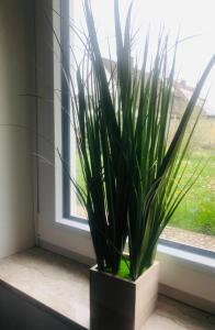 Ferienwohnung Feldmann