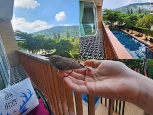 Bann Khao Yai 50 Sqm-Corner, King bed, Balcony