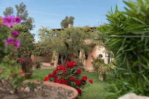 Villa Giacinto A img5