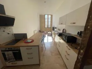 T1 Bis Centre Historique Auch - Pavie