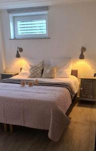 Maisons d'hotes Au Jardin d'Edel Gites Centre Alsace : photos des chambres