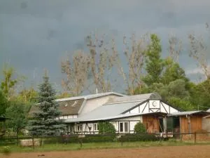 Studio dwupoziomowe Agroturystyka- Dorado-puszcza kampinoska - Leoncin