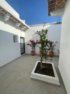 Casa Limones. Hermoso secreto en el corazón de Tequisquiapan