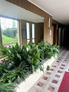 Grand studio vue mer - Plages à pied - Parking