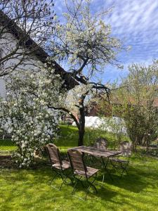 Zimmer zum Wohlfühlen