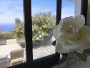 Apartamentos Guayonje Costa