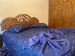 Eliana Guest House - Ubytování bez kategorie ve městě Përmet