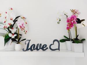 I love Genova Apartment