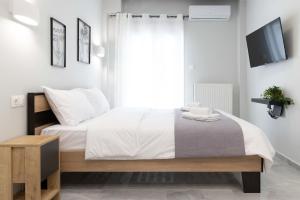 SKG Modernity Studio