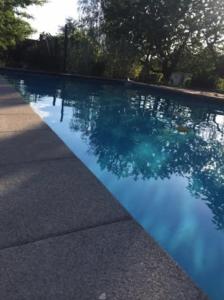 Logement avec piscine