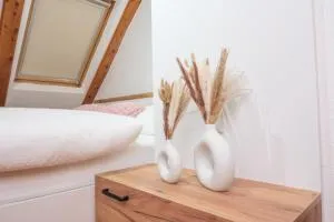 Apartman Maja - Rika