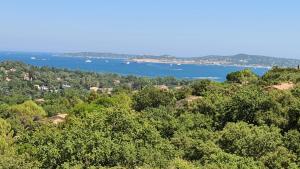 Les restanques du Golfe de SAINT TROPEZ,
