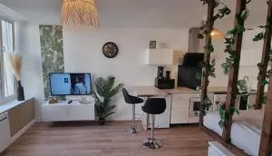 New jungle studio cœur de ville - Blénod-lès-Pont-à-Mousson