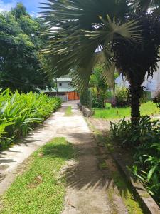 Rêve Tropical Chambres Dhôtes