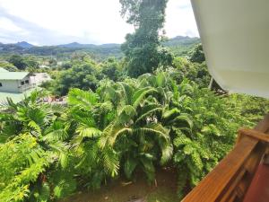 Rêve Tropical Chambres Dhôtes