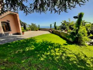 Tenuta Kiwi dell’Etna