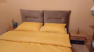 Alex & Nicol - Stillfried