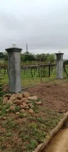 de Kleine Kelder - Protem de Kleine Kelder - Protem