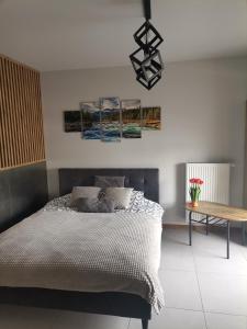 Apartament Górska Szarotka