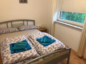 Apartment in handball city, Handewitt