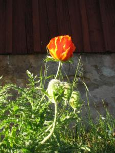 Södra Ljunga Vandrarhem