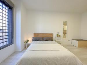 Estudio en Malaga centro