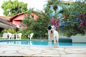 Pousada North Shore Maresias - 2 quadras da praia - Casas de 2 quartos - 80 m2 -2 banheiros -piscina sauna - estacion-churrasq privativa -wifi animais de peq porte roupa de cama e banho