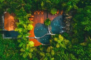 Amor Arenal Adults Friendly