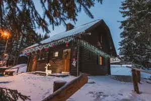 Apartment Zarja - Trije Kralji - Šmartno na Pohorju