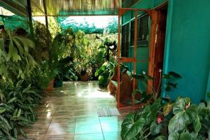 Hospedaje Valencia Osa, CR