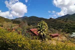 Mario´s Lodge Providencia, Copey