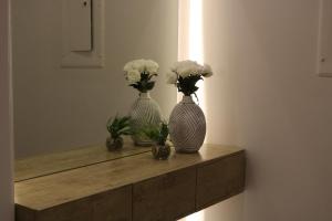 استديو و شقق