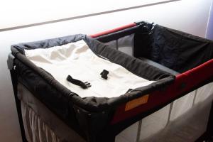 Oasis Verde en la Ciudad