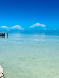 Casa Tekio Holbox By Kin Studios