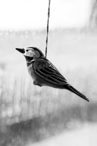 B&B / Chambres d'hotes L'Atelier de Mezareun : photos des chambres