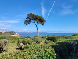 Le Serenity : mer, calme et tranquillité